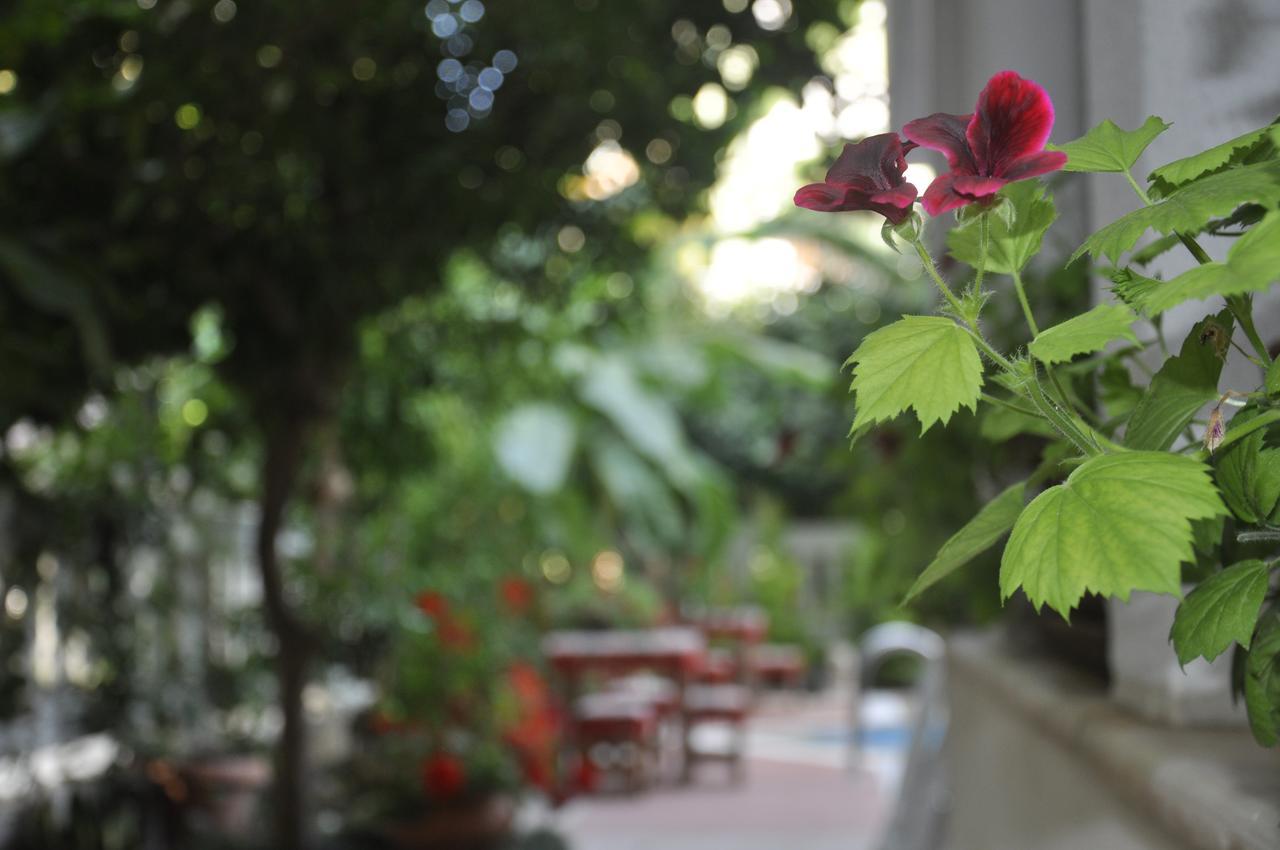 Hotel Villa Casablanca Bahtili Kültér fotó